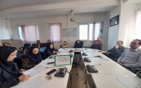 کمیته بررسی موارد مرگ و میر نوزادان و کودکان 